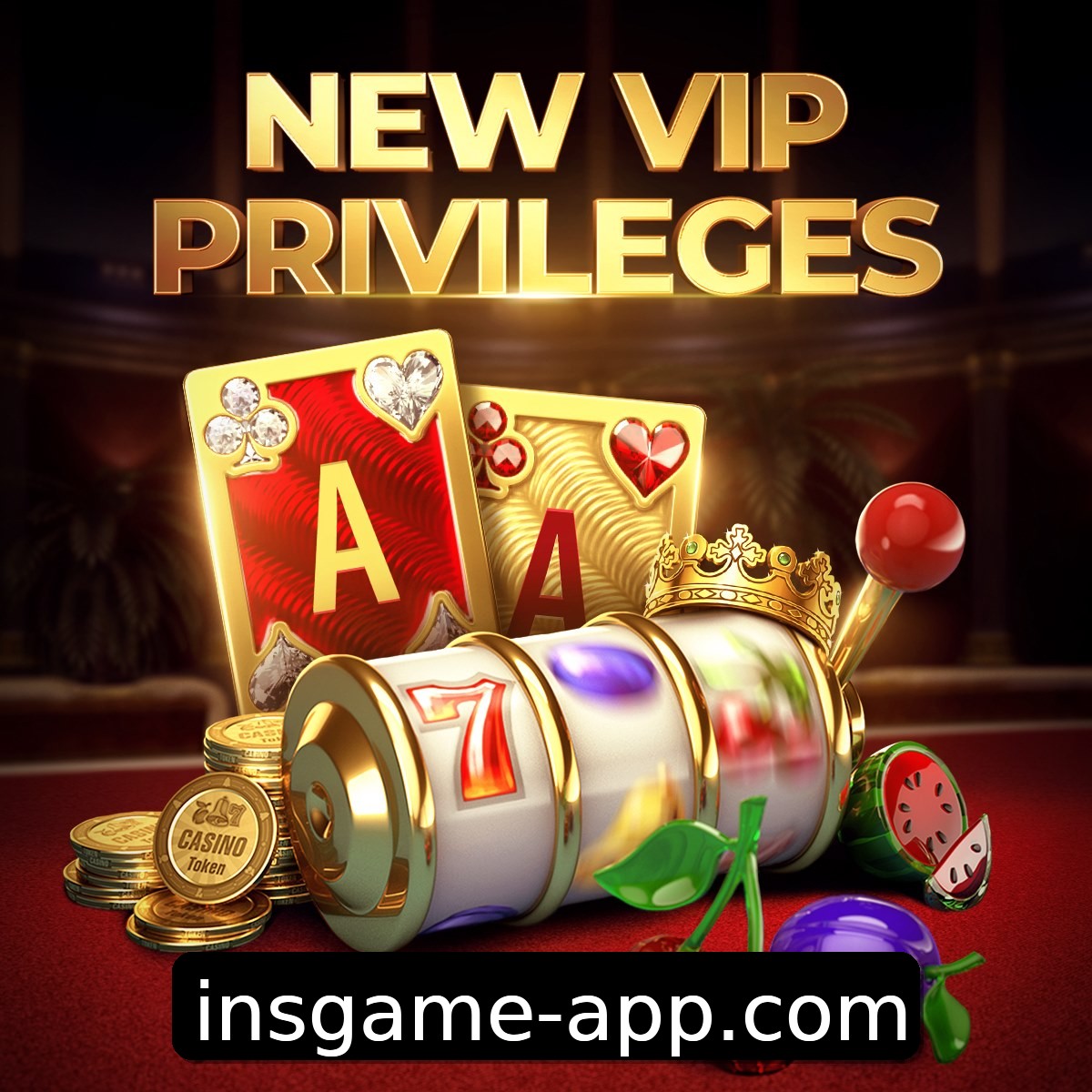 Programa VIP insgame